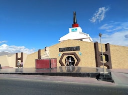 Visit the Hall of Fame Museum